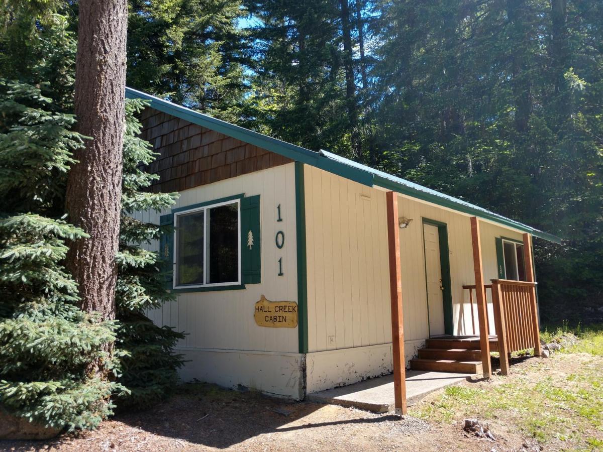 Hall Creek Cabin Паквуд Экстерьер фото